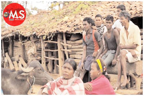 बैगा, भारिया और सहरिया जनजातियों को सभी जिलों में मिलेगा लाभ