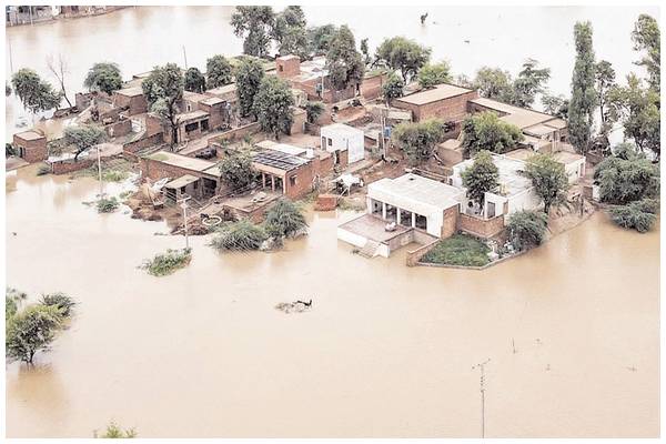 पंजाब में बाढ़ से 1400 से ज्यादा गांव प्रभावित, फसलें बर्बाद