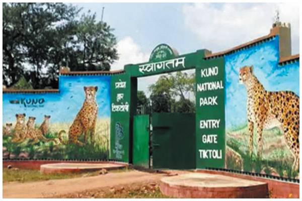 कूनो फॉरेस्ट रीट्रीट एवं फेस्टिवल 5 अक्टूबर से