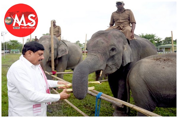 मध्यप्रदेश और असम के बीच वन्य जीव पर्यटन में साझेदारी के लिए होगी विशेष पहल: मुख्यमंत्री