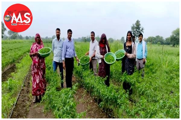 प्रदेश में वाटरशेड मिशन का नवाचार