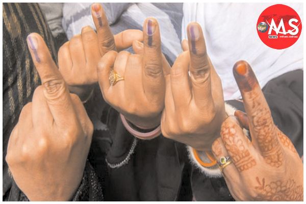 now there will be voter verification in every household