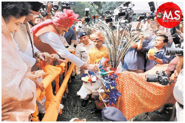 मुख्यमंत्री ने तिलकेश्वर मंदिर गौशाला में की गोवर्धन पूजा