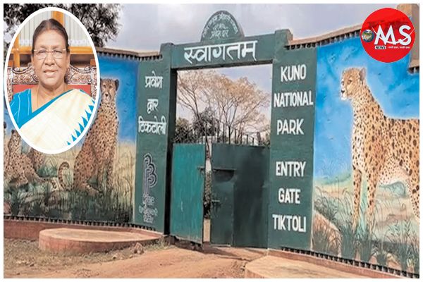 रात को कूनो में रुकेंगी राष्ट्रपति द्रोपदी मुर्मू